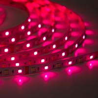 Светодиодная лента Class Premium 3838 72 led/m, RGB+CCT (RGB+white/ warm white), 12V, IP20, А41