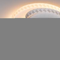 Лента RT-A252-19mm 24V Warm2700 (27 W/m, IP20, 2835, 5m) (Arlight, Открытый)