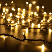 Светодиодная гирлянда ARD-STRING-PRO-10000-GREEN-100LED-STD WARM (230V, 7W) (Ardecoled, IP65)