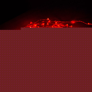 Светодиодная гирлянда ARD-CLASSIC-DEW-5000-CLEAR-100LED-STD Red (12V, 2.1W) (Ardecoled, IP65)