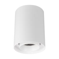 Светильник SP-FOCUS-R110-18W Day4000 (WH, 15 deg, 230V) (Arlight, IP54 Металл, 5 лет)