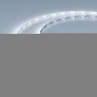 Лента FC-M160-4mm 24V White6000-CX1 (10 W/m, IP20, 5m)  (Arlight, резка 1 светодиод)