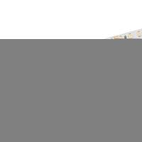 Лента RT 2-5000 24V Warm2400 2x (3528, 600 LED, LUX) (Arlight, 9.6 Вт/м, IP20)