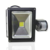 Светодиодный прожектор Standart с датчиком движения (20W, 220V, White)