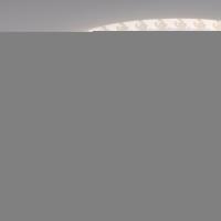 Лента UL-A120-8mm 24V Day4000 (2 W/m, IP20, 5m) (Arlight, Открытый)