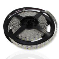 Светодиодная лента Standart PRO class, 5050, 144 led/m, RGBW, 24V, IP20