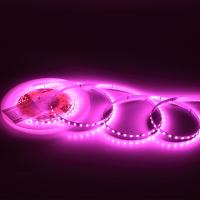 Светодиодная лента Standart Pro class, 2835, 120 led/m, 5mm, без скотча, pink, 24V, IP20, SL12