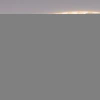 Лента FC-M160-4mm 24V Warm3500-CX1 (10 W/m, IP20, 5m) (Arlight, резка 1 светодиод)