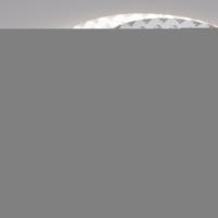 Лента RT-A240-15mm 24V Day5000 CRI98 (19.2 W/m, IP20, 2835, 5m) (Arlight, Открытый)
