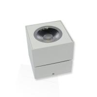 Накладной светодиодный светильник SW (12.3W, Day White)