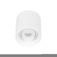 Светильник SP-ACENTO-R95-10W Warm2700 (WH, 20-45 deg, 230V) (Arlight, IP20 Металл, 5 лет)