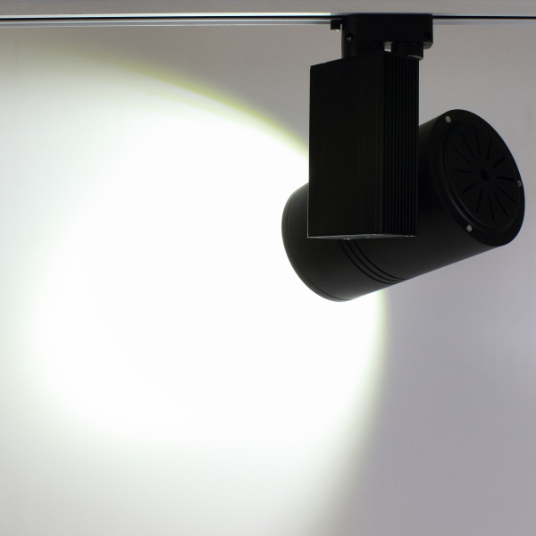 Светодиодный светильник трековый GDD087 2L PX401 (30W, 220V, white)