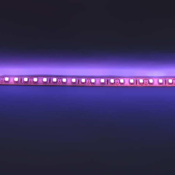 Светодиодная лента Standart PRO class, 3528, 120 led/m, UV,12V, IP65