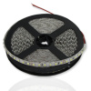 Светодиодная лента Standart class 3528, 120 led/m, White, 24V, IP20, G193