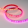 Лента SPI-5000PGS-5060-60 12V Cx3 RGB-Auto (12mm, 13.2W/m, IP67) (Arlight, Закрытый, IP67)