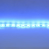 Светодиодная лента Standart PRO class, 5050, 60led/m, Blue, 12V, IP68