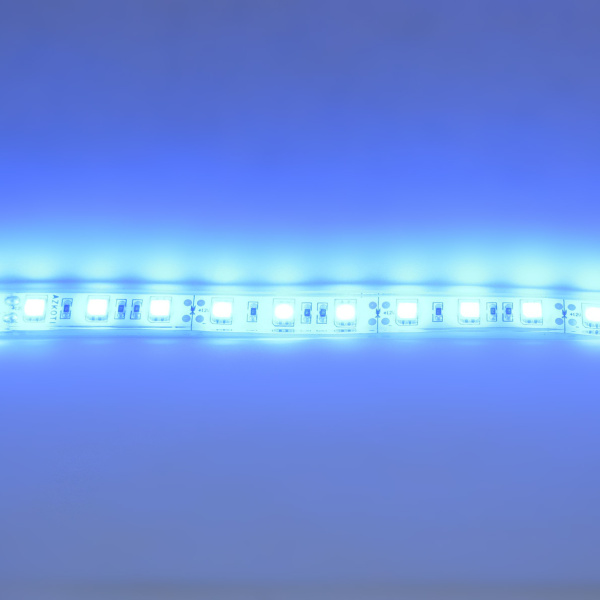 Светодиодная лента Standart PRO class, 5050, 60led/m, Blue, 12V, IP68