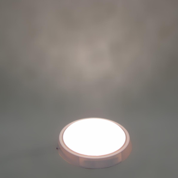 Светодиодный светильник MR-RW D210 (8W, Warm White)