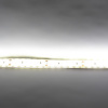 Светодиодная лента Standart PRO class, 3528, 240 led/m, Warm White, 24V, IP65