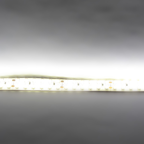 Светодиодная лента Standart PRO class, 3528, 240 led/m, Warm White, 24V, IP65