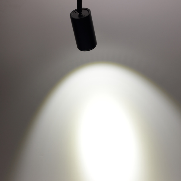 Светодиодный светильник трековый 2L PX411 (10W, 220V, day white, черный корпус)