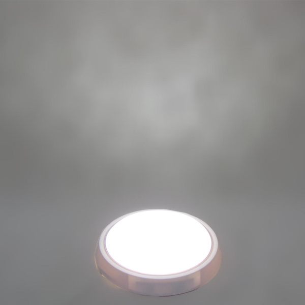 Светодиодный светильник MR-RW D210 (8W, Day White)