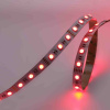 Светодиодная лента LUX class, 5050 (4 chips), 60 led/m, RGBW, 12V, IP20, P150