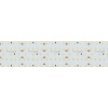 Лента S2-2500 24V White 6000K 59mm (2835, 420 LED/m, LUX) (Arlight, 30 Вт/м, IP20)