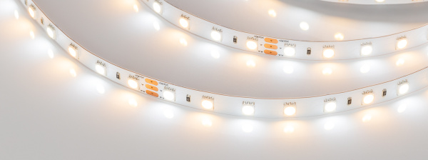 Лента RT 6-5000 24V White-MIX 2x (5060, 60 LED/m, LUX) (Arlight, Изменяемая ЦТ)