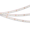Лента герметичная RTW-PFS-A120-11mm 24V Day4000 (9.6 W/m, IP68, 2835, 5m) (Arlight, -)