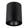 Светильник SP-FOCUS-R132-24W Day4000 (BK, 24 deg, 230V) (Arlight, IP54 Металл, 5 лет)