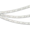 Лента RTW-5000PU-2835-120 12V Blue (10.5mm, 14.4W, IP68) (Arlight, Закрытый)