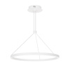 Светильник SP-CONGO-CAN-1-R600-36W Warm3000 (WH, 120 deg, 230V) (Arlight, IP20 Металл, 5 лет)
