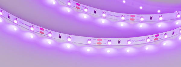 Лента RT 2-5000 12V Pink (3528, 300 LED, LUX) (Arlight, 4.8 Вт/м, IP20)