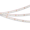 Лента герметичная RTW-PFS-A120-11mm 24V Day4000 (9.6 W/m, IP68, 2835, 5m) (Arlight, -)