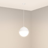 Светильник SP-EMISFERO-HANG-BUILT-R150-11W Day4000 (WH, 170 deg, 230V) (Arlight, IP20 Металл, 3 года)