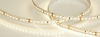 Лента RT 2-5000-50m 24V Warm3000 2x (2835, 160 LED/m, LUX) (Arlight, 12 Вт/м, IP20)