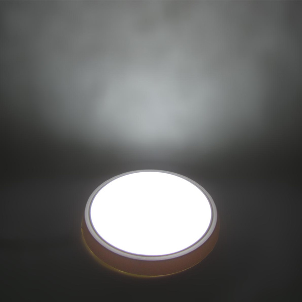 Светодиодный светильник MR-RW D310 (16W, Day White)