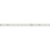 Лента RT 2-5000 24V Warm2700 (2835, 80 LED/m, LUX) (Arlight, 6 Вт/м, IP20)