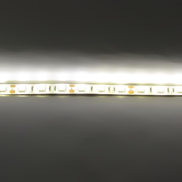 Светодиодная лента Standart class, 3528, 60led/m, Yellow, 12V, IP65