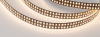 Лента RT-5000-2835-320 24V Warm3000 CRI98 (BLACK 15mm, 24W/m, IP20) (Arlight, -)