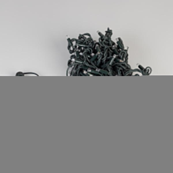 Светодиодная гирлянда ARD-STRING-PRO-10000-GREEN-100LED-STD WARM (230V, 7W) (Ardecoled, IP65)