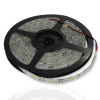 Светодиодная лента Standart PRO class, 5050, 30 led/m, White, 12V, IP65