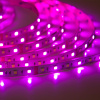 Светодиодная лента Class Premium 3838 72 led/m, RGB+CCT (RGB+white/ warm white), 12V, IP20, А41