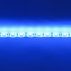 Светодиодная лента Standart class, 5050, 60led/m, Blue, 12V, IP65