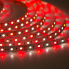 Светодиодная лента Class Premium 3838 72 led/m, RGB+CCT (RGB+white/ warm white), 12V, IP20, А41