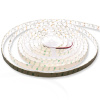 Светодиодная лента Standart PRO class, 5050, 120 led/m, Day White, 24V, IP65