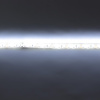 Светодиодная лента Standart PRO class, 3528,120 led/m, white,12V, D38, nano IP65