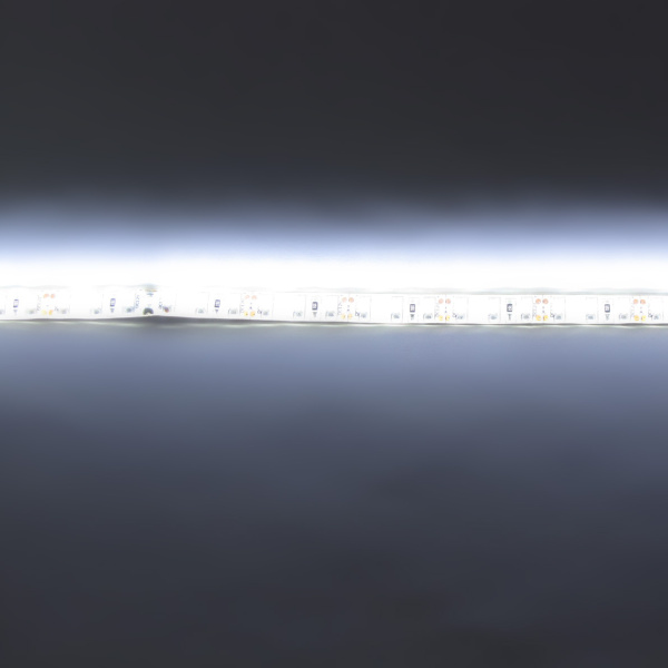 Светодиодная лента Standart PRO class, 3528,120 led/m, white,12V, D38, nano IP65