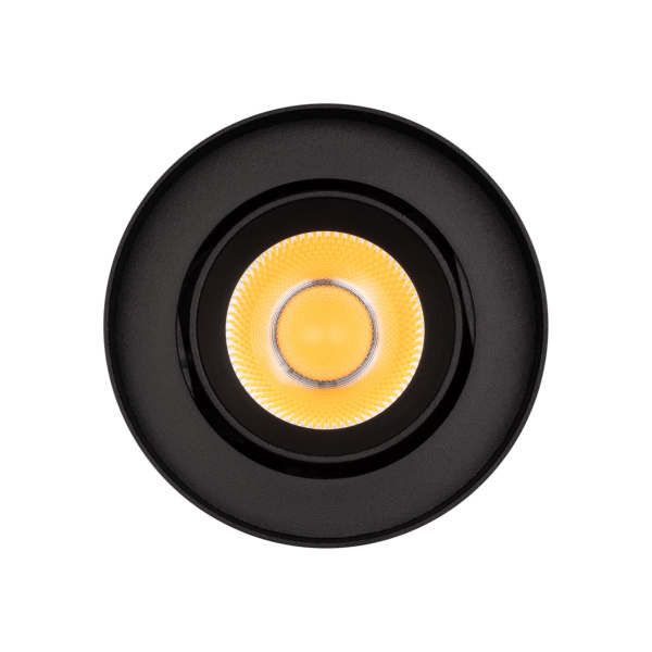 Светильник SP-FOCUS-R86-10W Day4000 (BK, 24 deg, 230V) (Arlight, IP54 Металл, 5 лет)